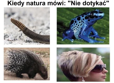 OczyMnieBolom - W takim przypadku najlepiej uciekać.

#humorobrazkowy #heheszki #si...