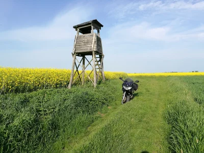 ImeNs - Myślę że zaliczone. Teraz nie wiem jak ja teraz stąd wyjadę(✌ ﾟ ∀ ﾟ)☞. Kolejn...