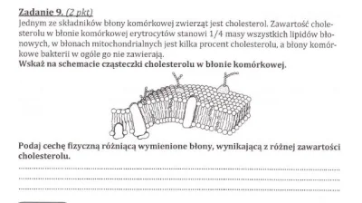 j.....w - Wystarczy jak napisze "sztywność błony"?

W odpowiedziach pisze o funkcji...