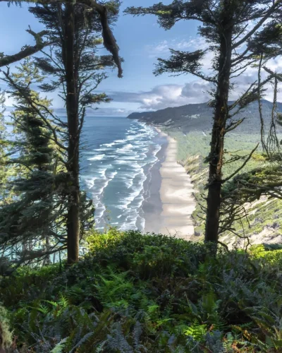 janushek - Oregon, USA
#estetyczneobrazki #earthporn #azylboners