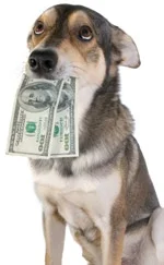 Amadeo - > Nie miałem przy sobie rówież pieniędzy



Chciałeś psu dać pieniądze, żeby...