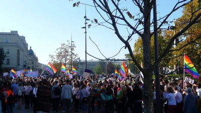 tellmemore - #lublin #marszrownosci #lgbt #marsz #bekaznarodowcow #zdjecie

Tutaj g...