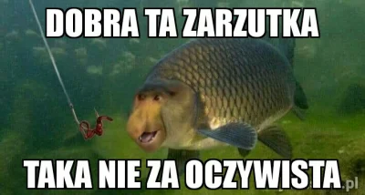 mayder - Hehe 
#nosacz #nosaczsundajski #memy #polak #humor #heheszki
