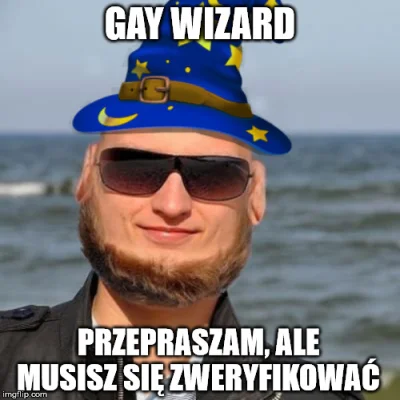 LM317K - #heheszki #humorobrazkowy #wykop #gaywizard