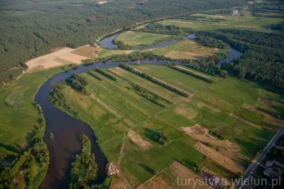 WujStefan - Cudze chwalicie, swego nie znacie. Meander na rzece Warcie między Przywoz...