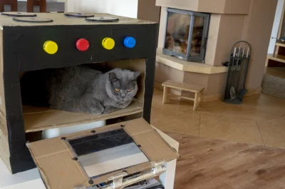 PrawieJakBordo - Ej człowiek czemu ja do jasnej cholery siedzę w piekarniku niedaleko...