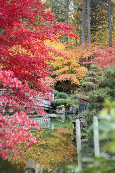 Zdejm_Kapelusz - Ogród japoński.

#ogrody #ogrod #ogrodnictwo