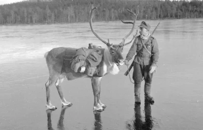 N.....i - II Wojna Światowa. Finlandia. #historia #smiesznykonik