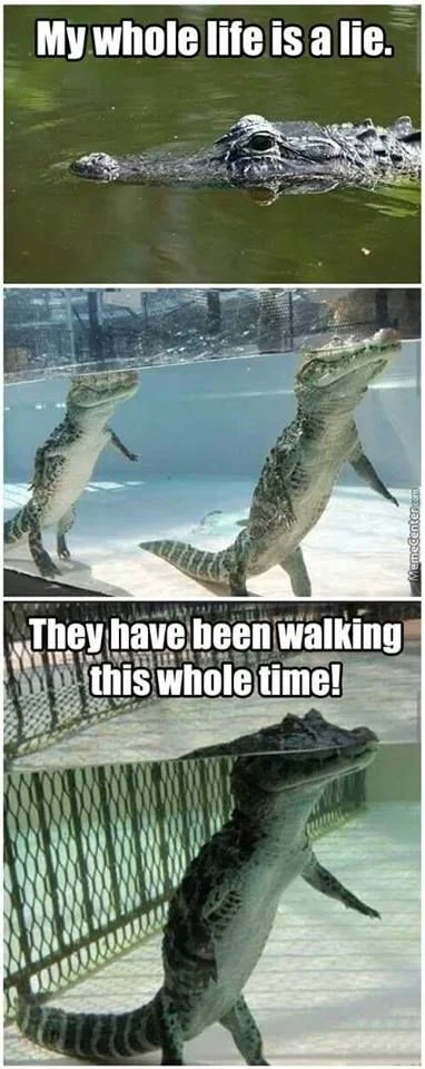 p.....k - #smiesznypiesek #klamstwo #krokodyl #niewiemjaktagowac