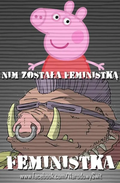 mieczyslawIIIfaza - #humorobrazkowy #heheszki #bekazfeministek