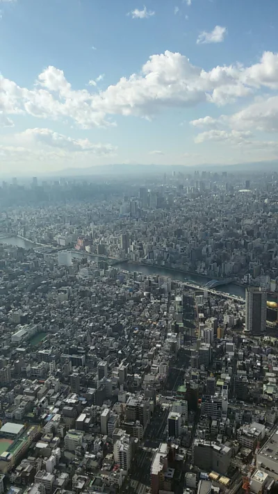 newnoise - Widok na Tokio z wiezy SkyTree. W tle daleko widac gore Fuji. Pogoda mi do...