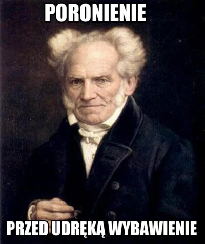 v.....o - #schopenhauer