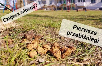 BonusMPK - #wiosna #kwiaty #humorobrazkowy #heheszki