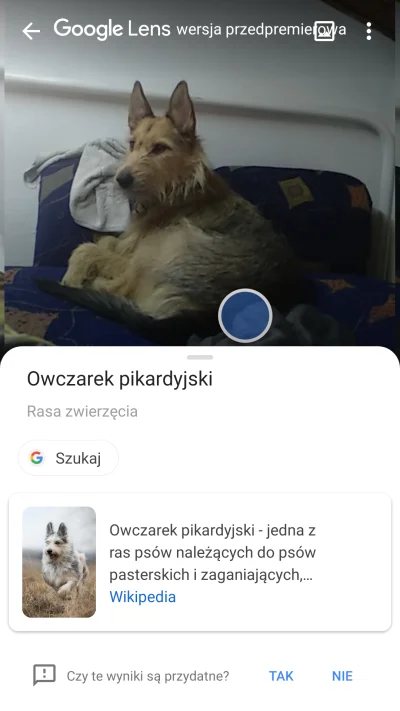 d.....0 - #google #googleassistant #pokazpsa #android 
Bez kitu, w sekundę rozpoznał...