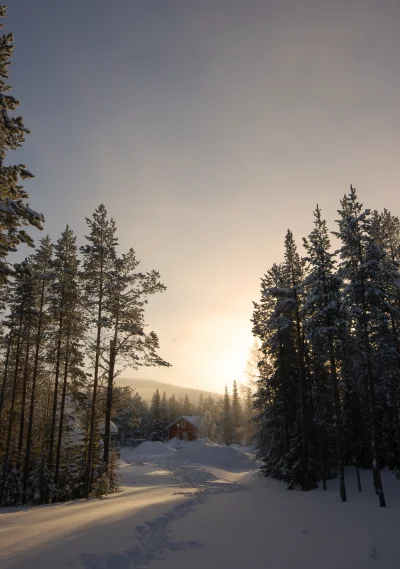 C.....g - #zima #earthporn #azylboners #zimowracaj #finlandia
❀