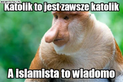 PawelW124 - #humor #heheszki #polak #nosaczsundajski #nosacz #islam #imigranci #uchod...