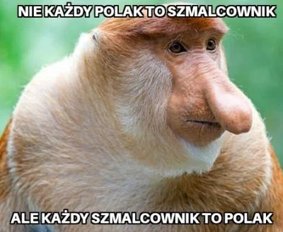 S.....x - #heheszki #humorobrazkowy #lewackihumor #polak #neuropa