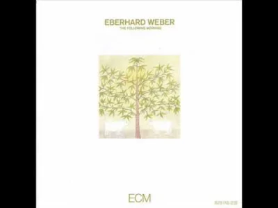v.....n - #muzyka #jazz #ecm

Eberhard Weber - T. on a White Horse