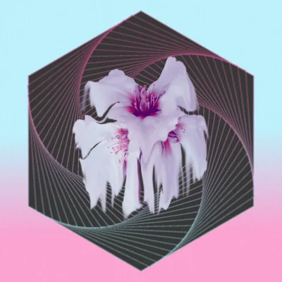 ciezka_rozkmina - Ultra flower violence
#z--------------a #vaporwaveaestethics