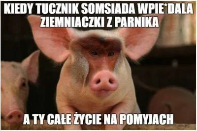 wlepierwot - #polak #gownowpis #suchar #heheszki #humorobrazkowy #nosaczsundajski