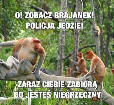 CCTVm8 - Smak dziecinstwa tak bardzo XDD
#heheszki #humorobrazkowy #polak #bekazpodlu...