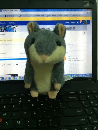 don-xia - talking hamster,So funny ! hahahah


http://www.wish.com/c/542026587541ce45...