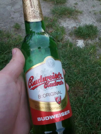 Dokkblar - Czeski Budweiser Budvar - lekkie, orzeźwiające, dobre na ciepły, słoneczny...