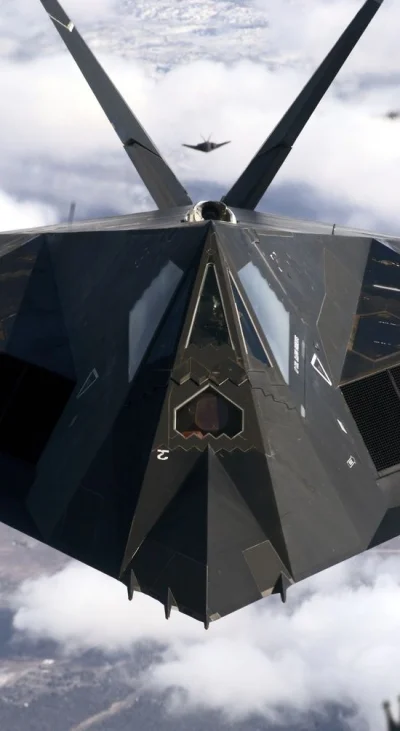 cyberyna - #aircraftboners #samoloty #design #bionika F-117 budową nawiązujący do man...