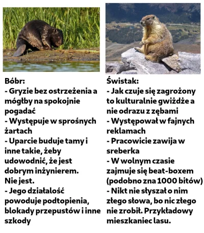 m.....e - #humorobrazkowy #heheszki #bobry #bober #swistak