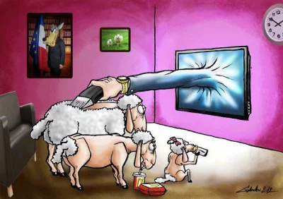 Edmont_V - @pioterhiszpann: a ludzie łykają wszystko jak leci Owce... Wszędzie Owce