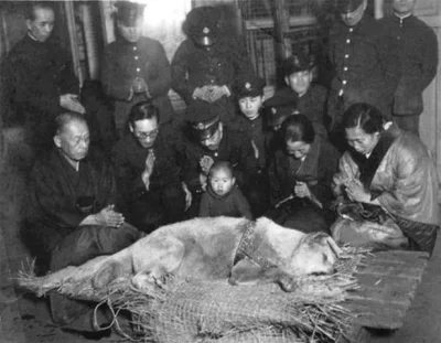 rozpierdalator - #psy #wiernosc #historia 

Ostatnie zdjęcie zrobione Hachiko, psu kt...