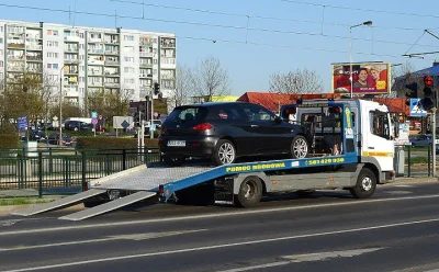 d.....9 - > szaleńczo się śmiać za każdym razem, kiedy minę frajerów czekających na p...