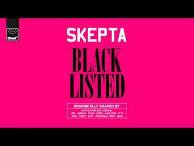 MondryPajonk - #codziennyskepta
58/365
Skepta - Blacklisted - Track 10