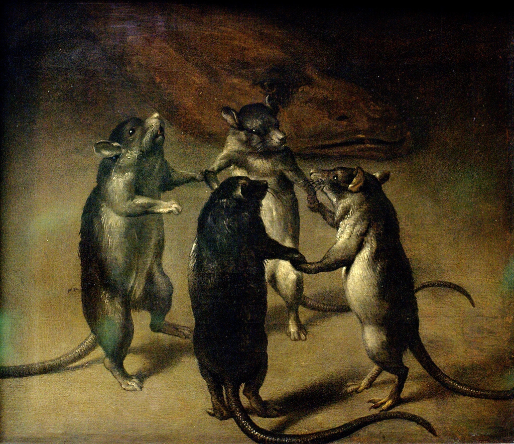 Znalezione obrazy dla zapytania: van Kessel : szczurzy taniec