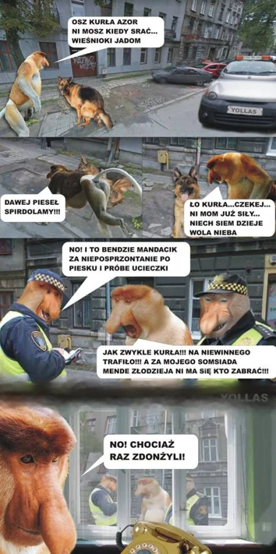 maxx92 - #heheszki #humorobrazkowy #polak