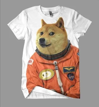 przemytnik - Doge astronauta, widzial ktos w polskim sklepie takie?