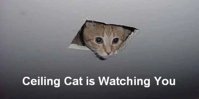 motokate - Przecież to jest Ceiling Cat.