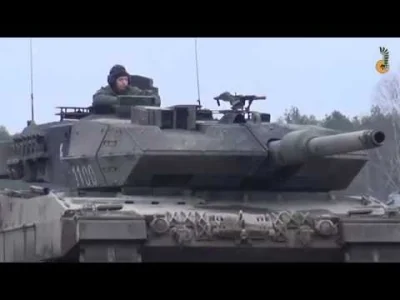 alpag - (｡◕‿‿◕｡)
#wojsko #wojskopolskie #militaryboners #leopard #czolgi