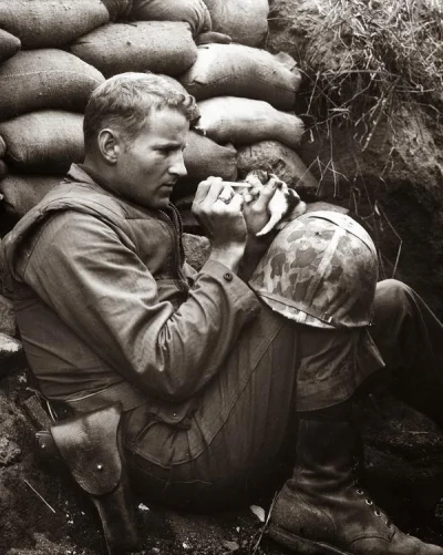Igoras - Żołnierz Marine nadziewa małego bezbronnego kotka na patyk w celu późniejsze...
