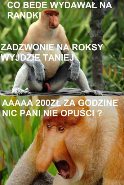 Paulo12 - #polak #gownowpis #heheszki #humorobrazkowy #roksa