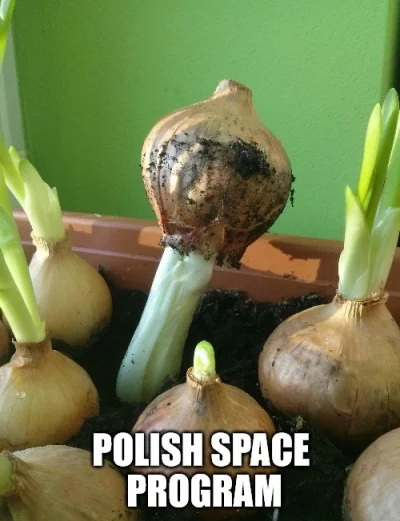 s.....u - Poland can into space!
#polandball #memecompany #memy