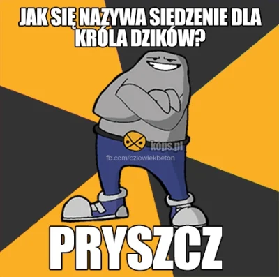 pogop - #kamdzcontent

#suchar #heheszki #humorobrazkowy #czlowiekbeton