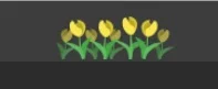 moooka - Dzień kobiet na wykopie, więc administracja dodała żółte tulipany na górnej ...