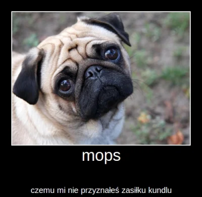 Bozon_stuleja - @gouomp: