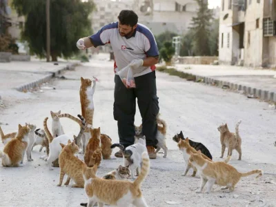 BaronAlvon_PuciPusia - Syrian ambulance driver cares for cats abandoned by owners fle...