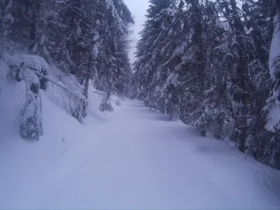 K.....k - @kajtom: 

Moje z wczoraj. Ale dziś rąk nie mogę podnieść do góry :)