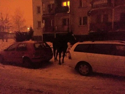 pawel86 - W Mławie samochody myjemy tak
#mława #koń #myjnia #zima #smieszneobrazki
