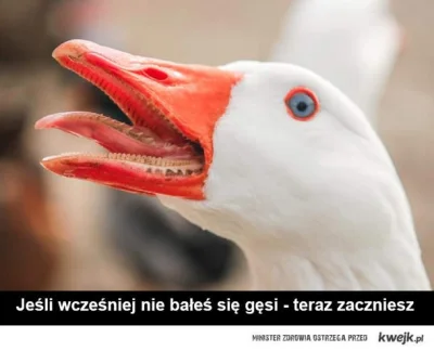 kovalski - Gęsiozaur

#zwierzaczki #creepy #kwejkcontent



SPOILER
SPOILER