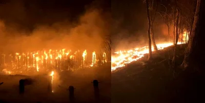 yo123 - Jakaś menda (mendy) dzisiaj w nocy podpaliła drewniane pomosty w Trzebieży (╥...