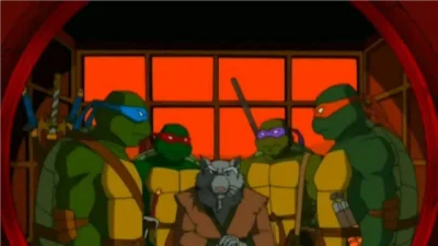 Nirin - Który żółw był waszym ulubionym? #gimbynieznajo #pytanie #kiciochpyta #sonda ...
